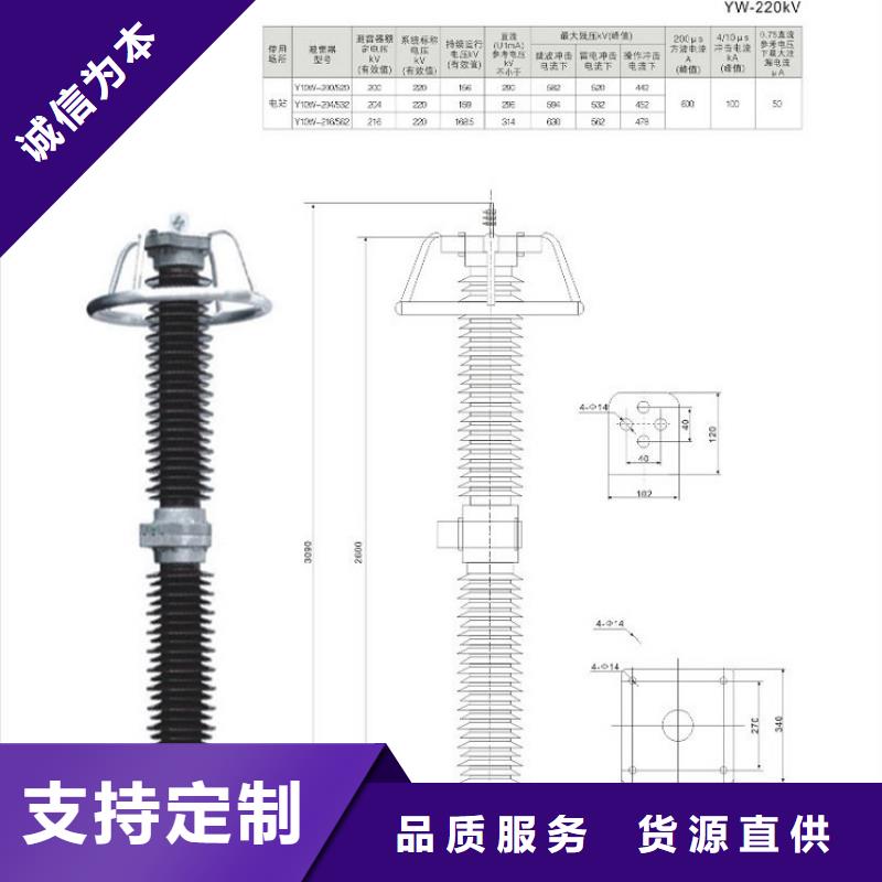 氧化锌避雷器Y10W-216/562浙江羿振电气有限公司
