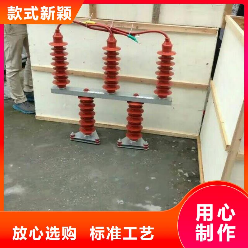 保护器(组合式避雷器)YH5WZ-5/13.5*5/13.5