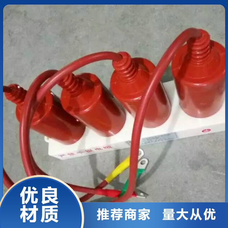 过电压保护器(组合式避雷器)SYB-C-7.6KV/85-J