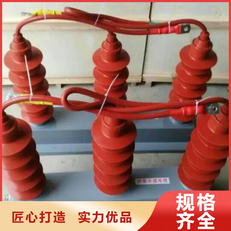 过电压保护器(组合式避雷器)TBP-A-10.5/131