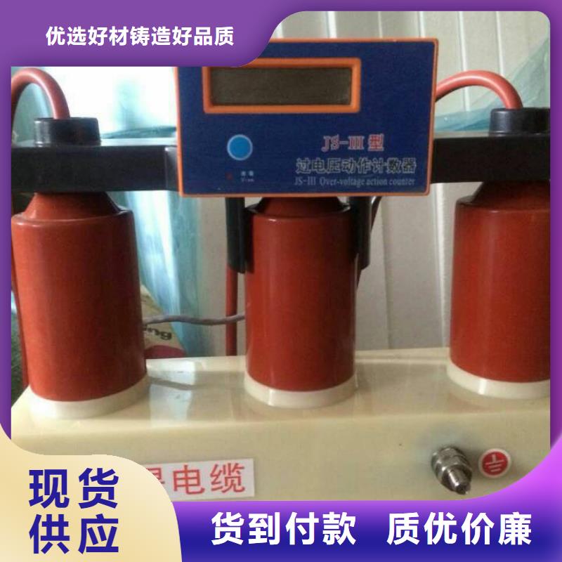 保护器(组合式避雷器)TBP-A-42F/630W