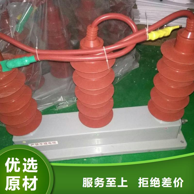 保护器(组合式避雷器)TBP-A-42F/630W