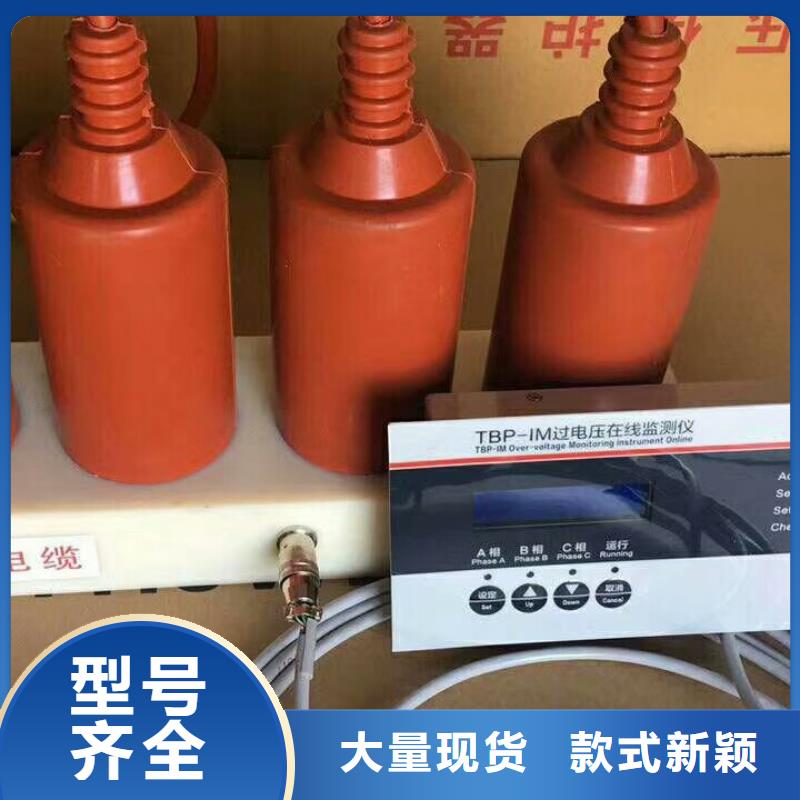 过电压保护器(组合式避雷器)TBP-C-7.6/150-J