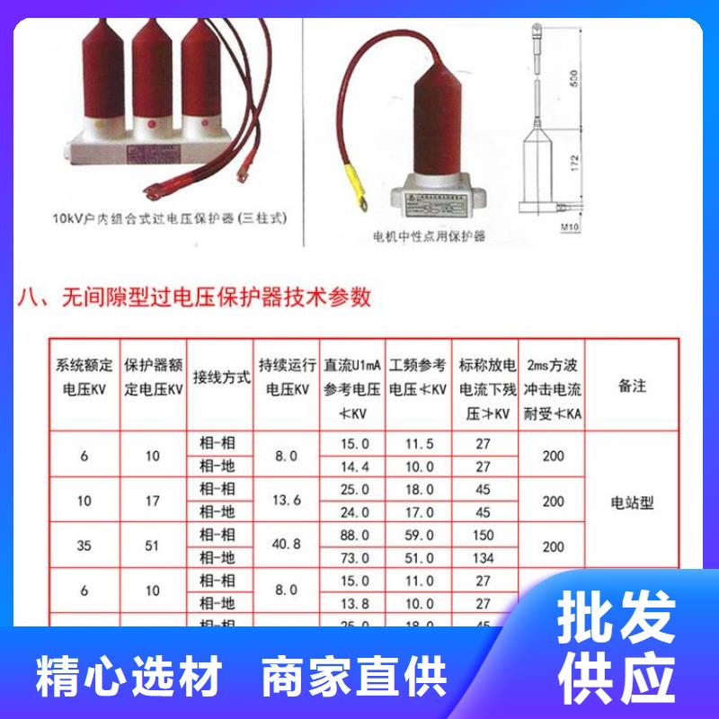 【保亭县】〖过电压保护器〗BSTG-C-42F/630W2价格合理