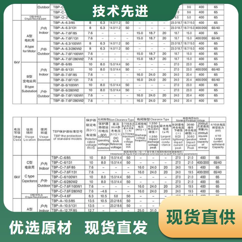 〖过电压保护器〗BSTG-B-42F/630W2直供厂家