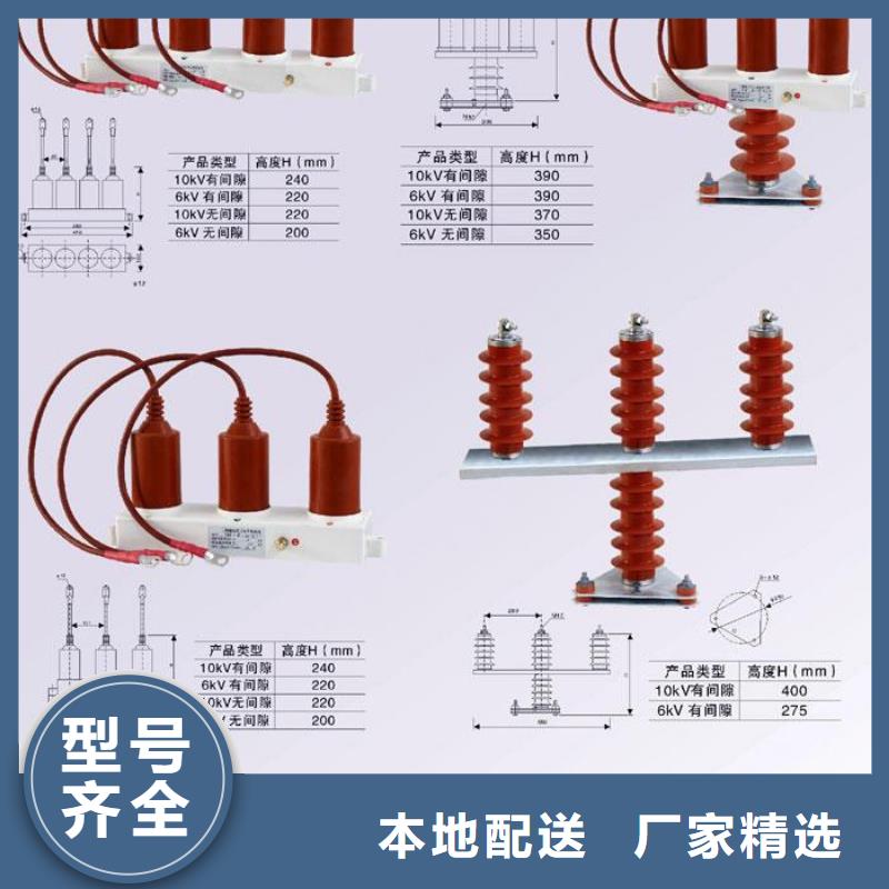 保护器(组合式避雷器)BSTG-B-42F/630W2