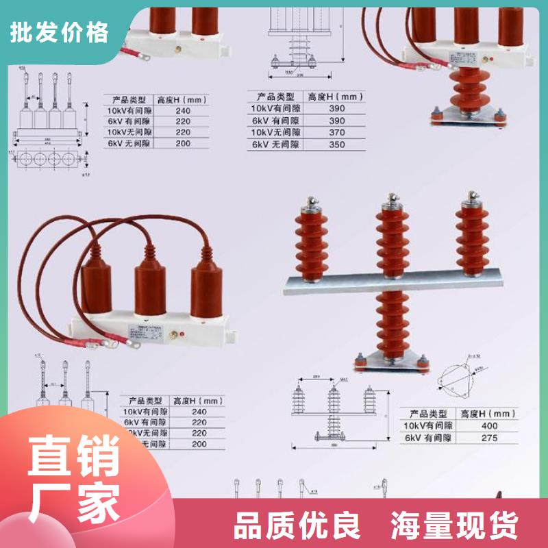 【避雷器/过电压保护器】TBP-A-6.3F/85