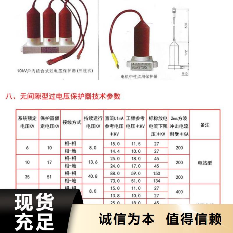 保护器(组合式避雷器)BSTG-B-17-J