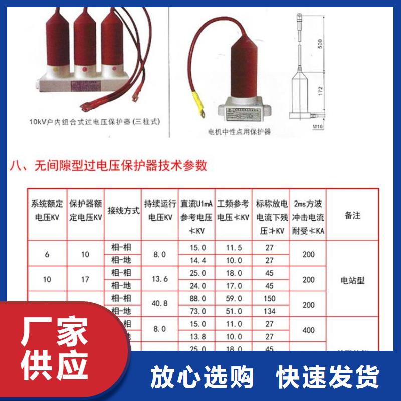 保护器(组合式避雷器)TBP-A-42F/630W