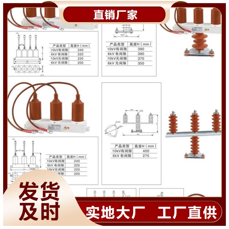 过电压保护器(组合式避雷器)SYB-C-7.6KV/85-J