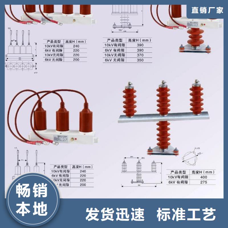 保护器(组合式避雷器)SCGB-B-7.6/131F