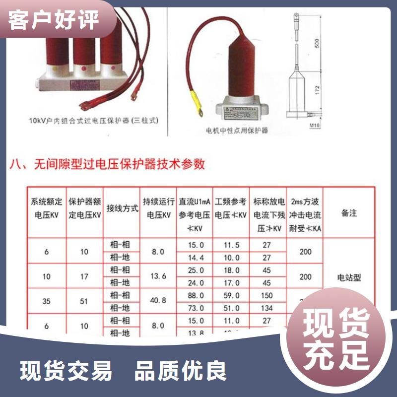 过电压保护器TBP-B-42F/200