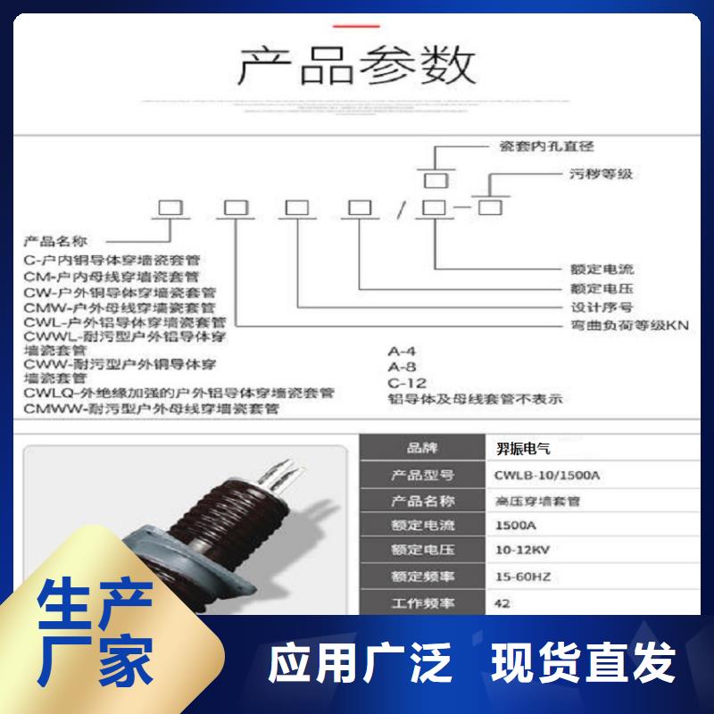 穿墙套管CWC-10KV/3000