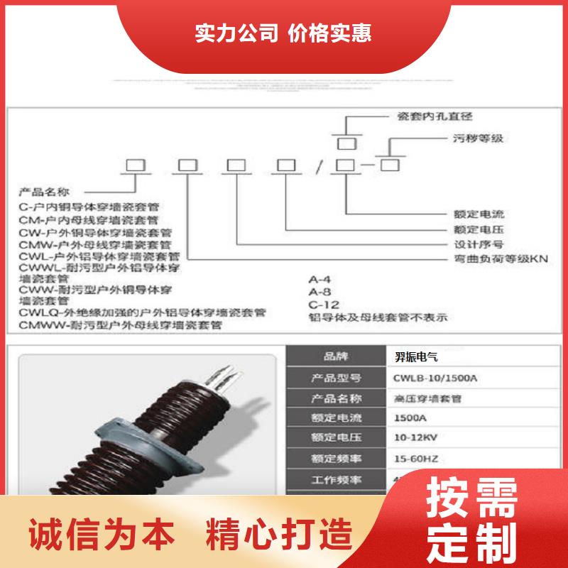 【穿墙套管】CWWL-10KV/4000