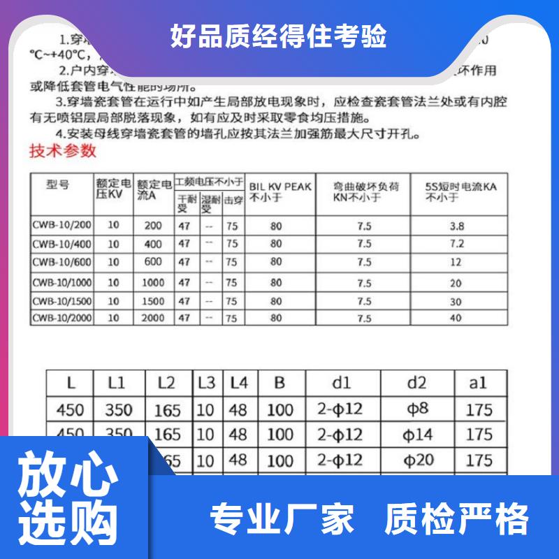 〖高压穿墙套管〗CWWL-20/4000A-4图片