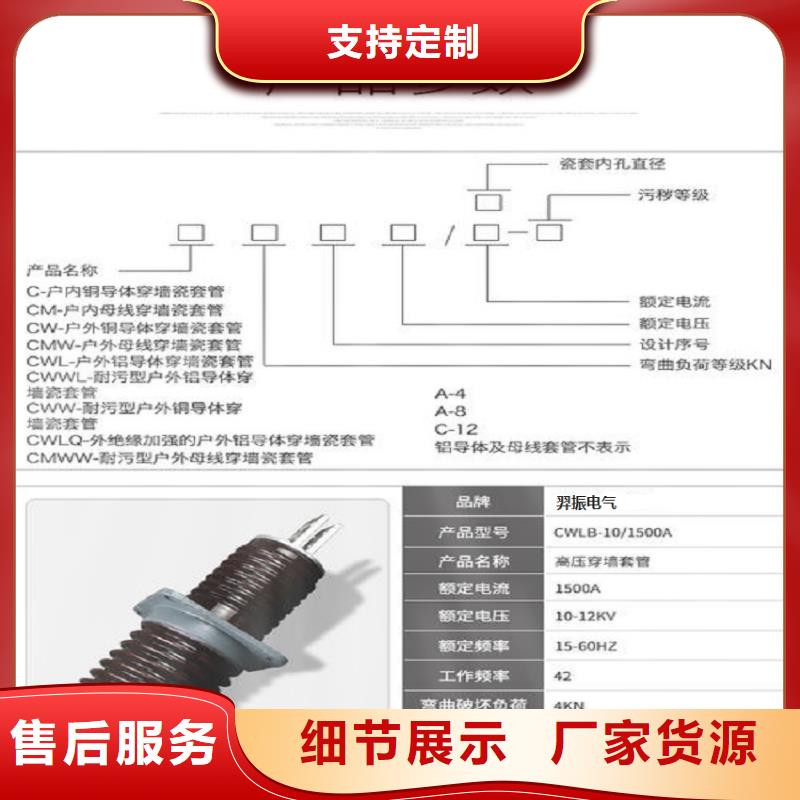 【穿墙套管】CWW-20KV/630-3