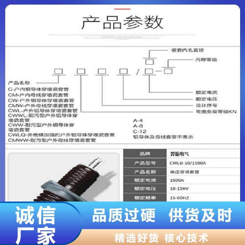 〖高压穿墙套管〗CWWL-20/4000A-4图片