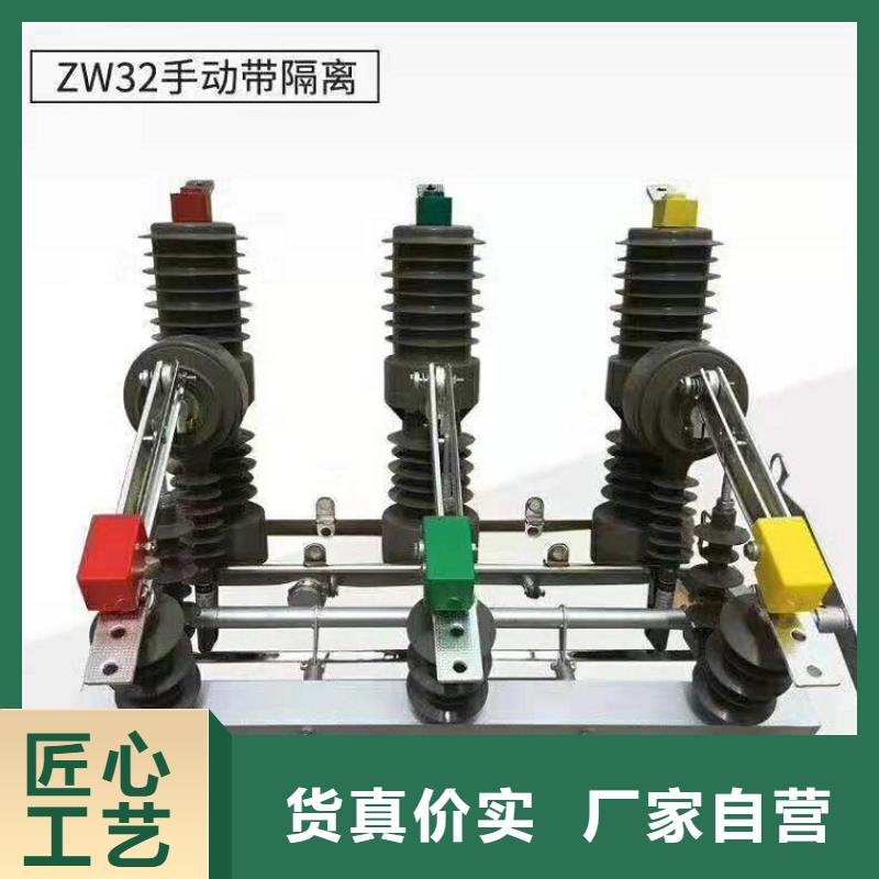 品牌【羿振电力】户外高压断路器ZW32-12FG/T630-20