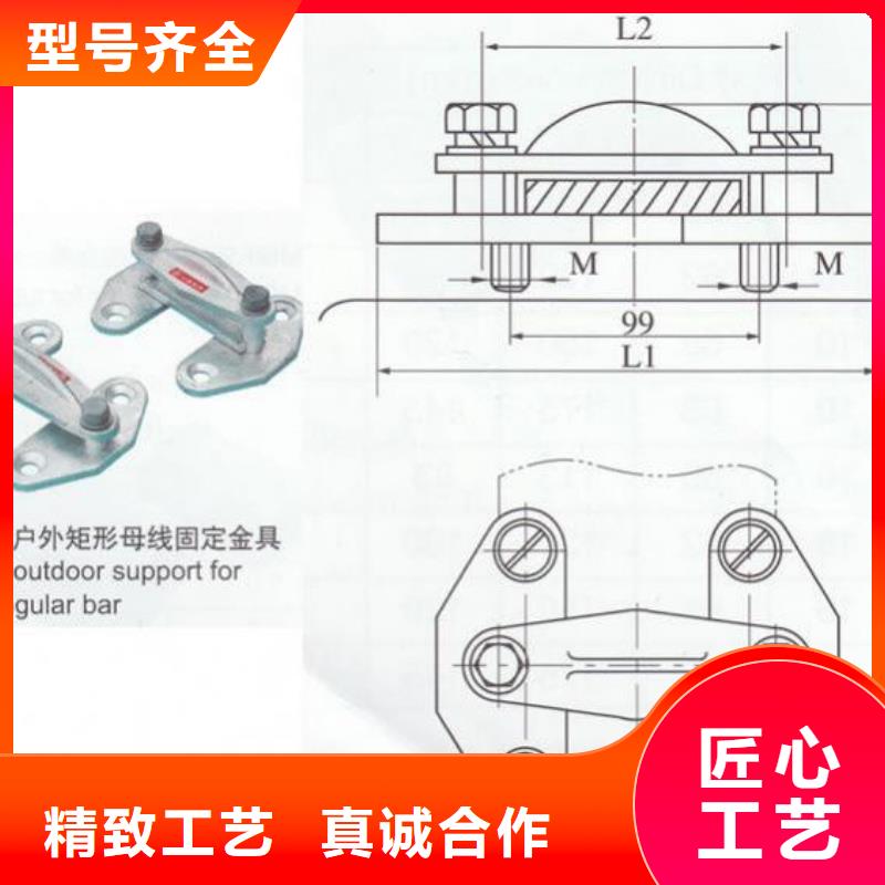 母线固定金具MWP-301T