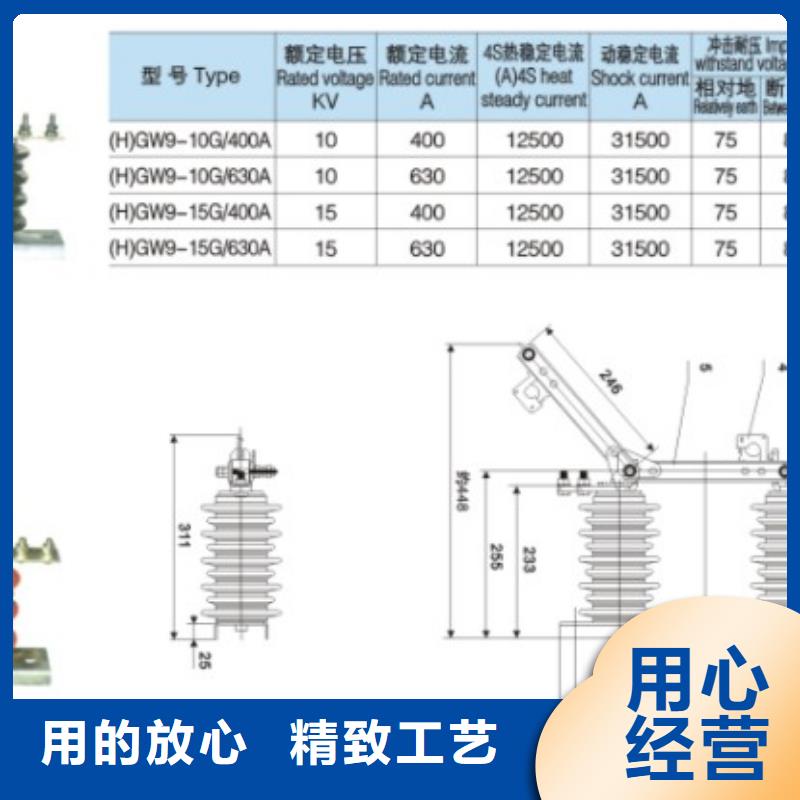 单极隔离开关GW9-10W/1000实力厂家.