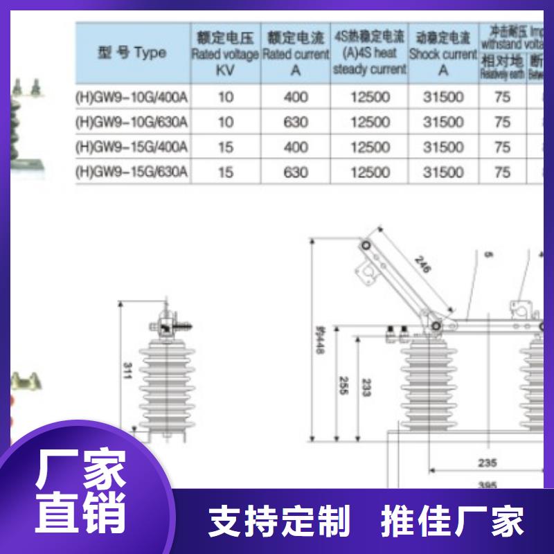 品牌：羿振HGW9-15KV/200A