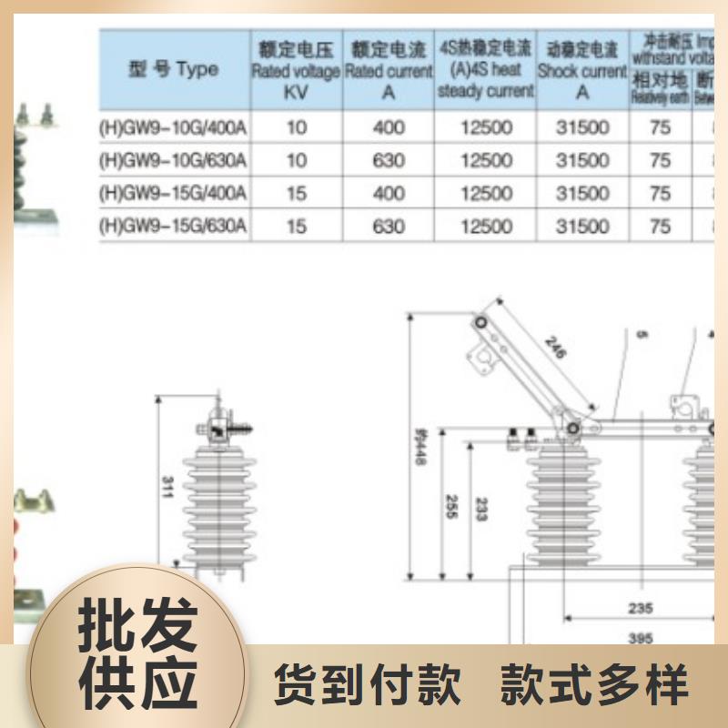 品牌：羿振35KV风电专用隔离开关HGW9-35/1250
