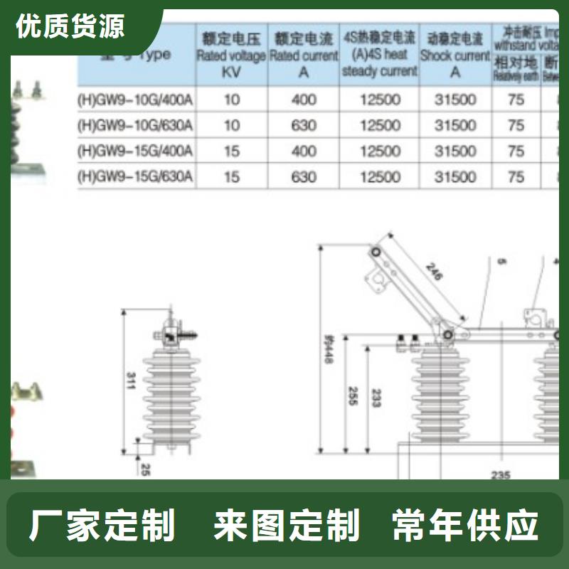 10KV单级隔离开关HGW9-10G/1000