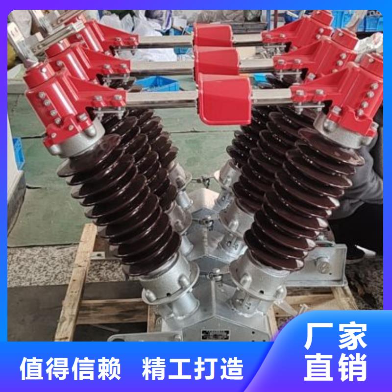 高压隔离开关HGW1-10KV/630A