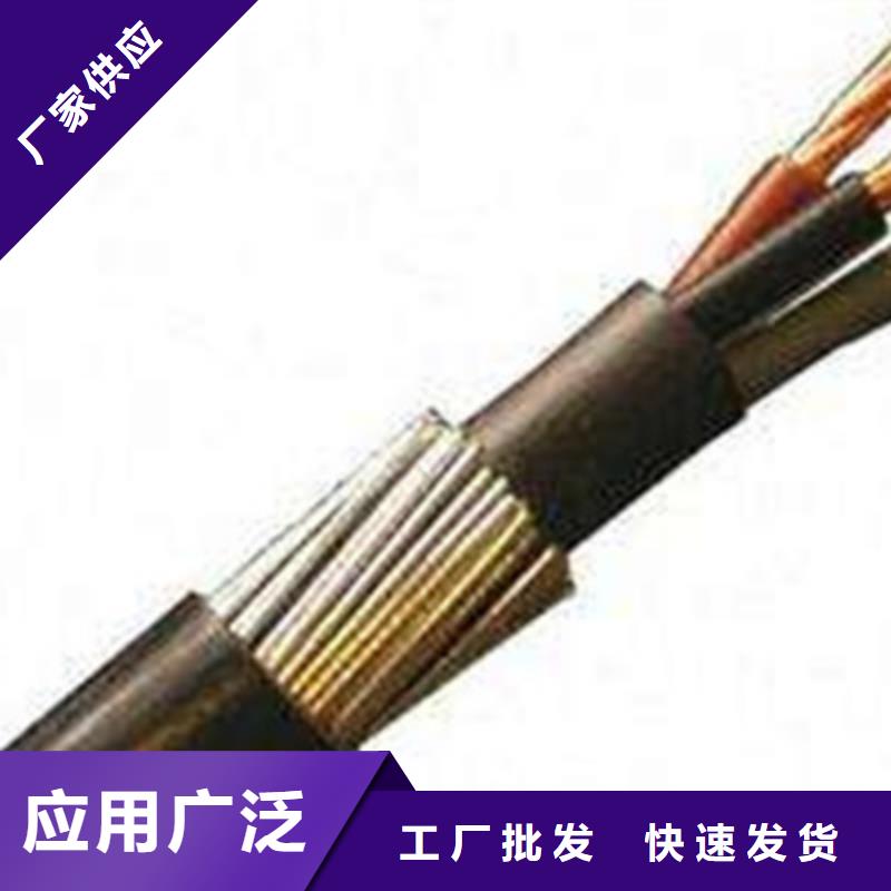 现货供应NH-RVV5X2.5批发价格_品牌厂家