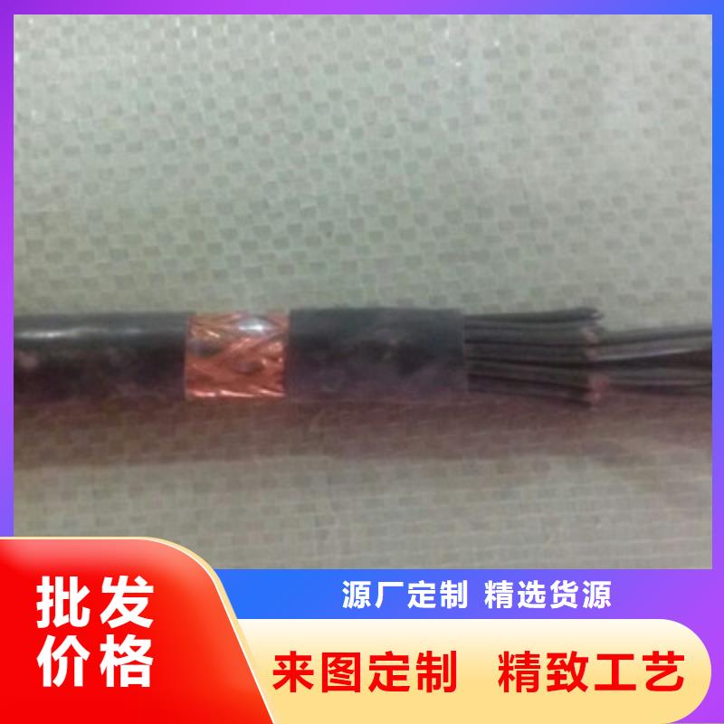 TRV30X0.5天联牌电缆-可货到付款