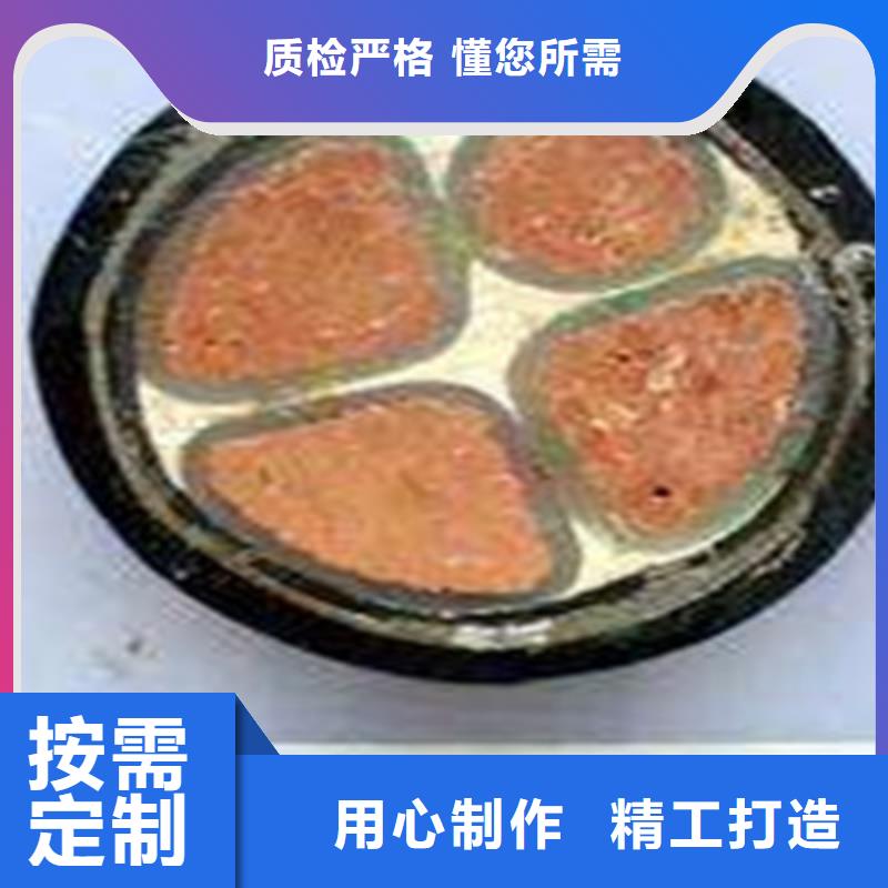 MYPTJ矿用橡套电缆2X10