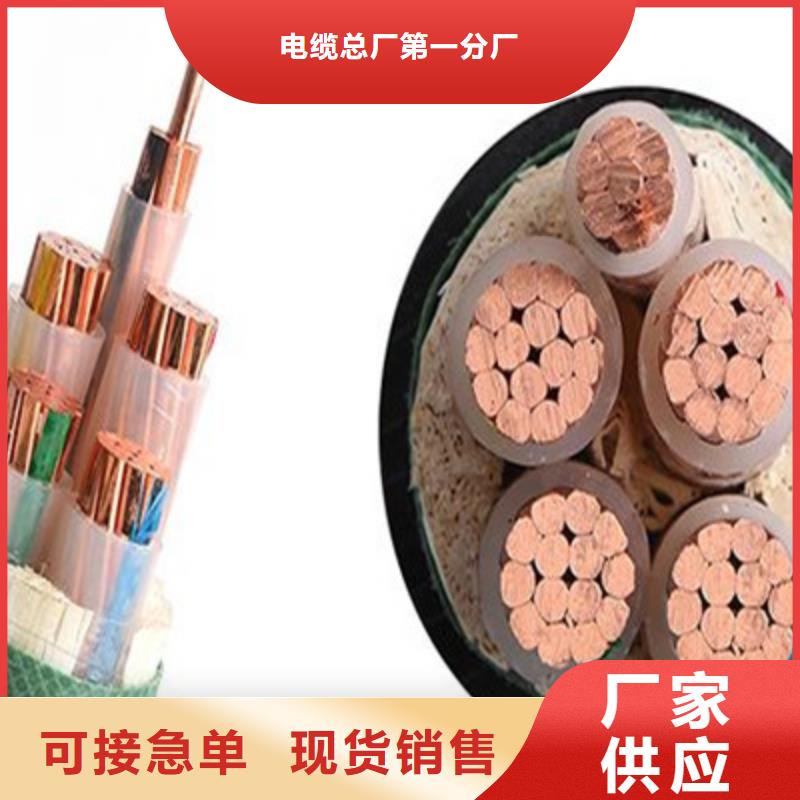 MYPTJ矿用橡套电缆2X10