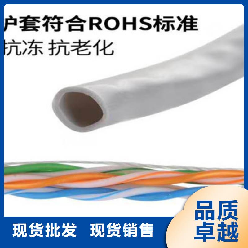 ZRA-HSGWPP22铠装网线2X5L2对1.0