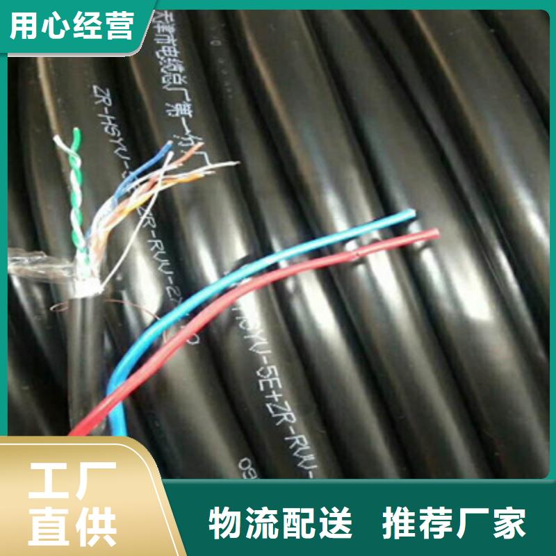 ZRA-HSGWPP22铠装网线2X5L12X0.5