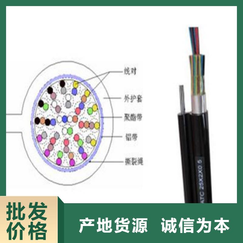 1419A通讯电缆厂家供应