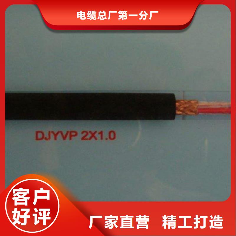 DJYJP3V22计算机屏蔽电缆价格免费咨询