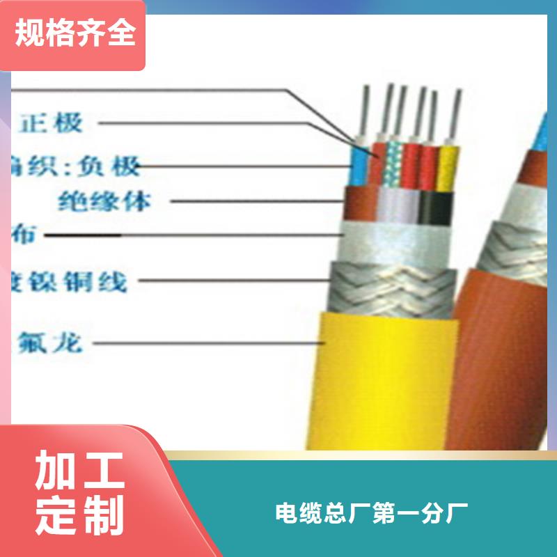 诚信为本铠装计算机电缆DJVVP2-22厂家