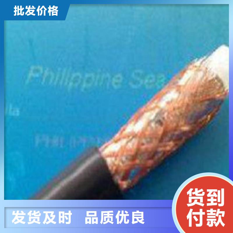 耐火射频同轴电缆NH-SYV-耐火射频同轴电缆NH-SYV规格全