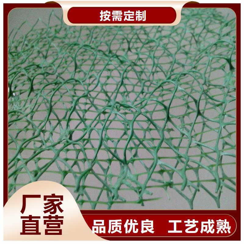 三维植被网【土工布】直销厂家