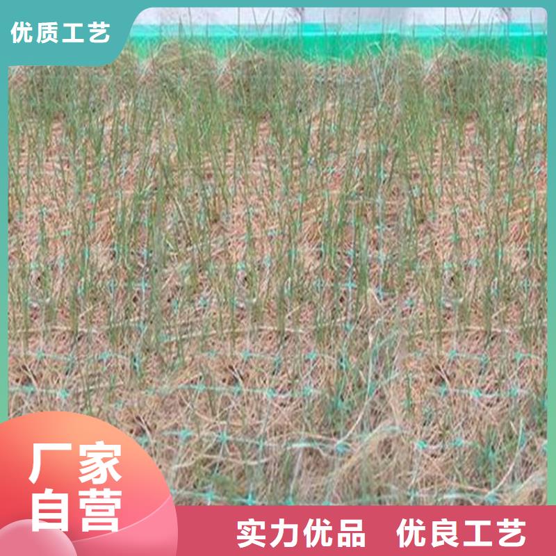 椰丝毯_【土工布】货源充足