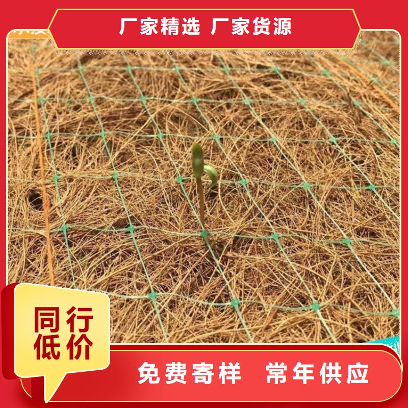 椰丝毯防渗膜今日价格