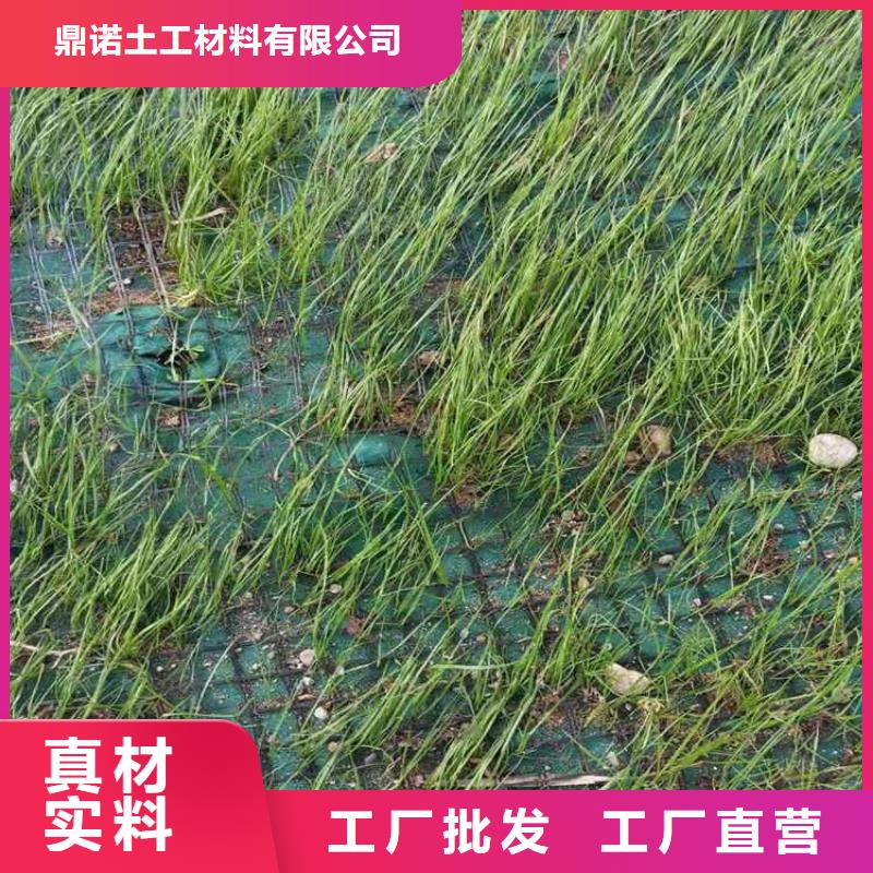 椰丝毯防渗膜今日价格