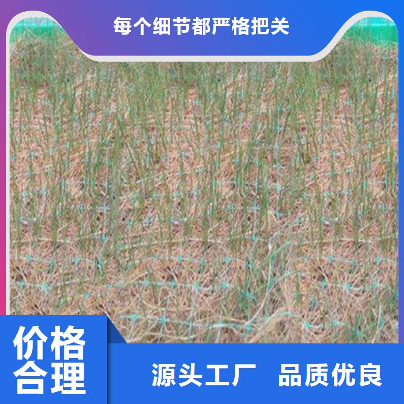 椰丝毯_【编织布】支持大批量采购