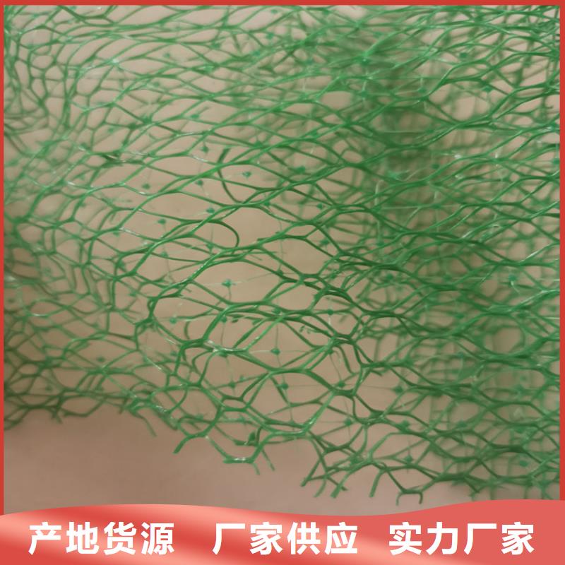 三维植被网【HDPE复合排水板】一手货源源头厂家