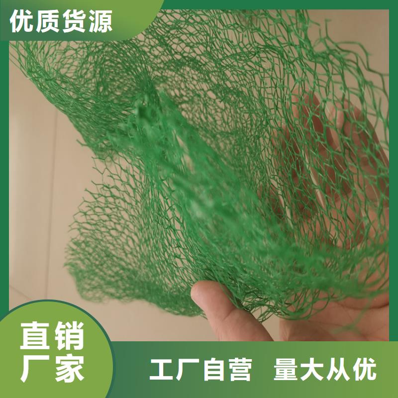 【三维植被网,土工膜专注细节更放心】