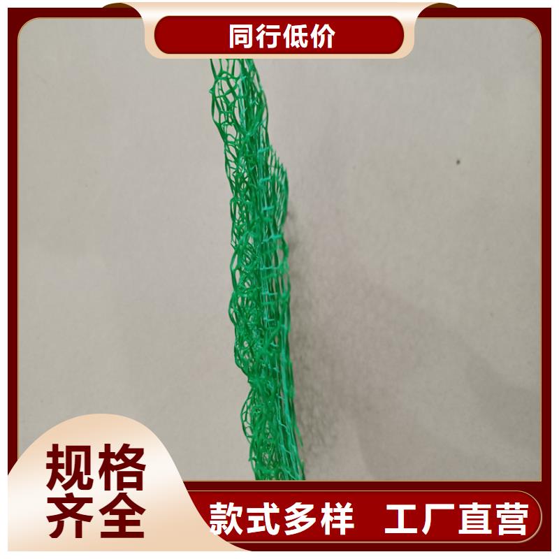 三维植被网-土工格栅诚信可靠