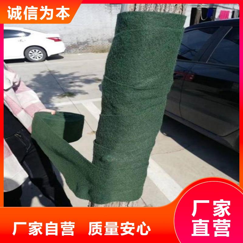 【裹树布】双向塑料土工格栅严格把关质量放心