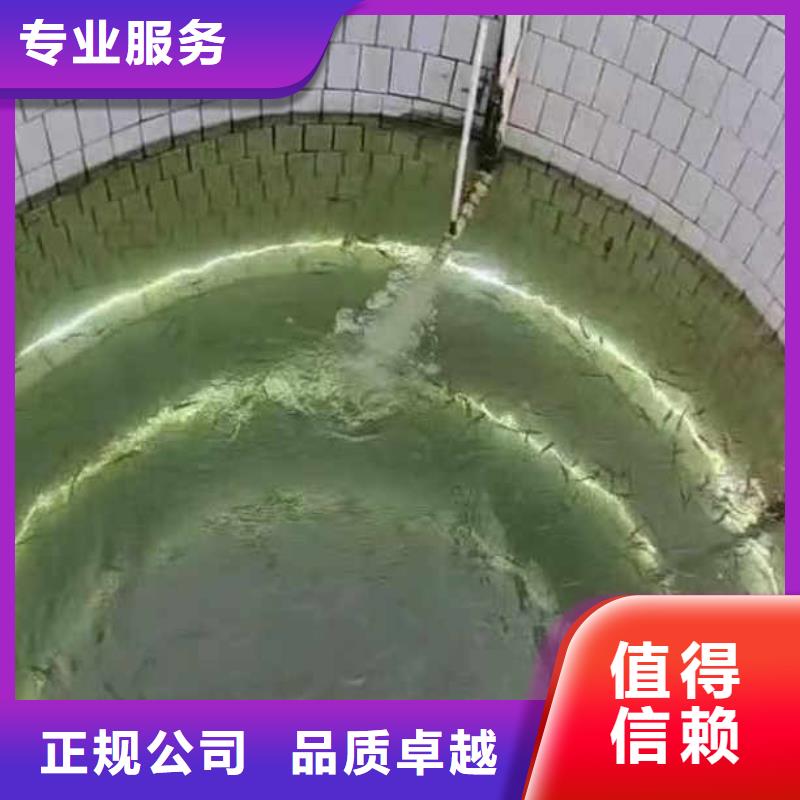 蛙人水下施工服务学校浪淘沙潜水