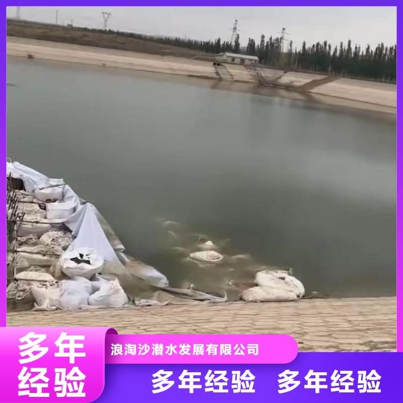 政管道封堵气囊,封堵砌墙一经验丰富本地