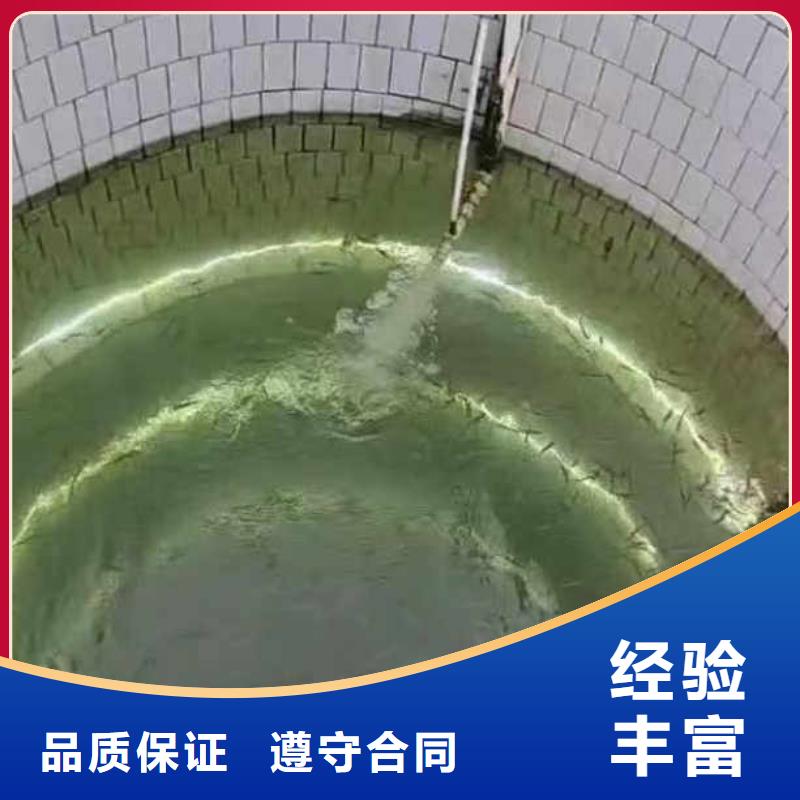 水下施工本地潜水搜索团队遵守合同